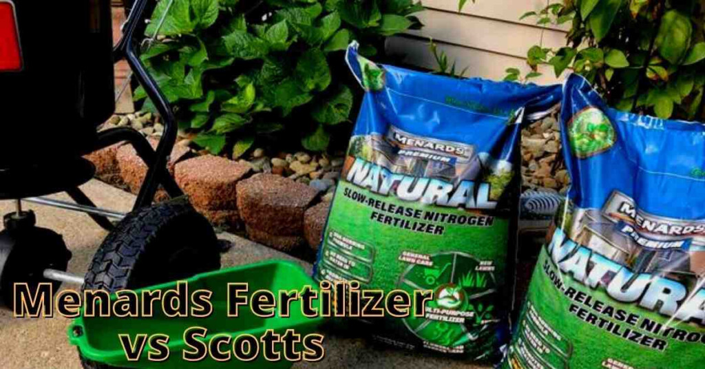 Menards Fertilizer Vs Scotts Which Is The Superior Choice 