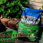 Menards Fertilizer Vs Scotts Which Is The Superior Choice