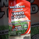 Menards Weed Feed Test YouTube