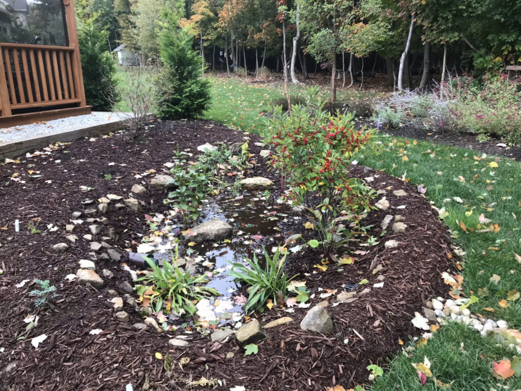 Rain Garden Rebate CRWP