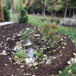 Rain Garden Rebate CRWP