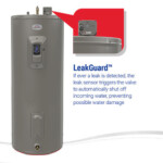 Richmond Encore With LeakGuard 55 Gallon 12 Year Electric Tank Water