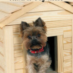 Tips For Choosing The Best Menards Dog House Dog House Yorkie Dogs