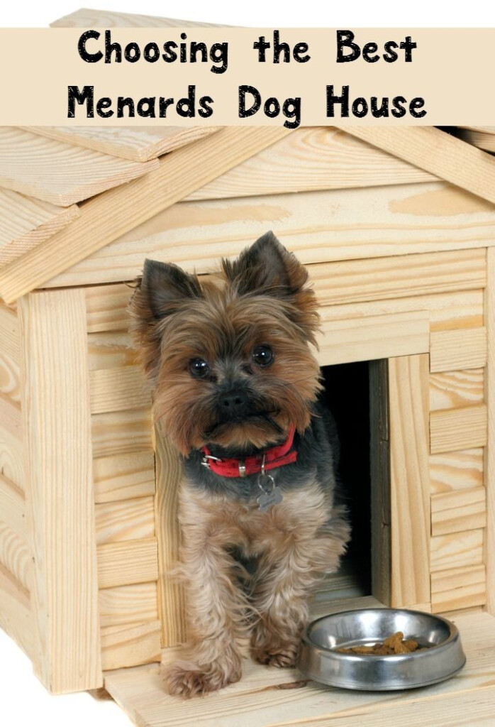 Tips For Choosing The Best Menards Dog House Dog House Yorkie Dogs 